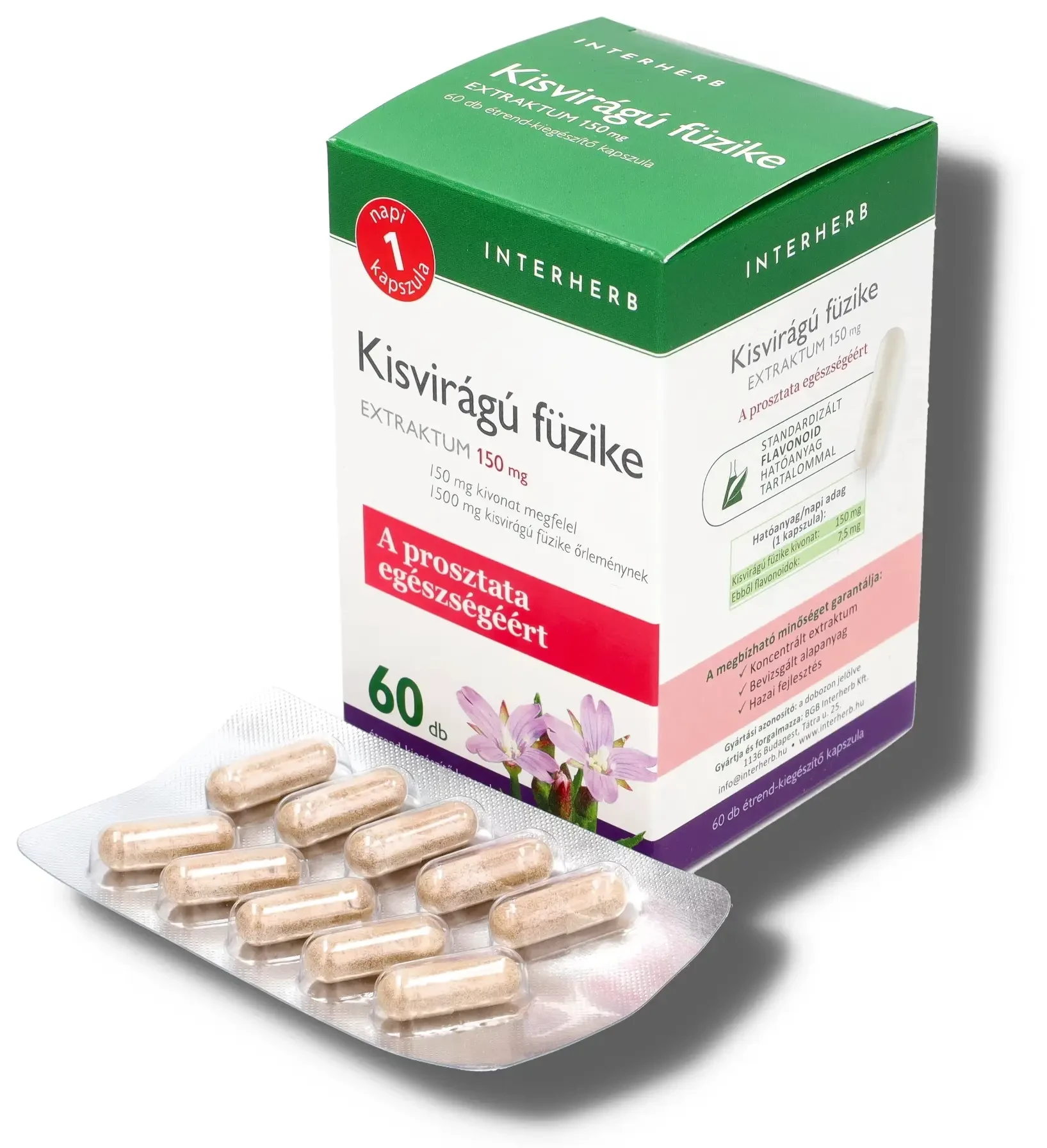 Interherb NAPI1 Kisvirágú füzike Extraktum 60 db étrend-kiegészítő doboza és kapszulái